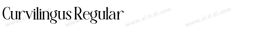 Curvilingus Regular字体转换 Curvilingus Regular字体转换